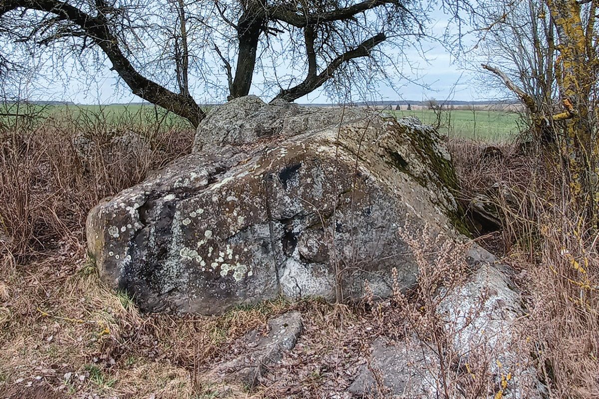 Гомсін камень, Куранец